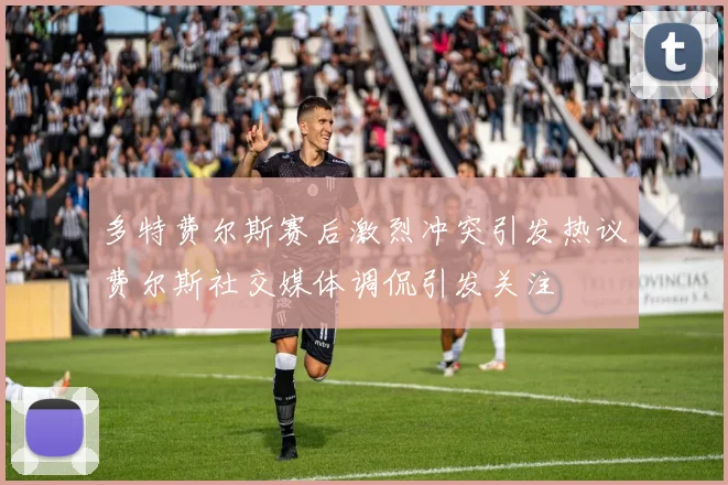 多特费尔斯赛后激烈冲突引发热议费尔斯社交媒体调侃引发关注